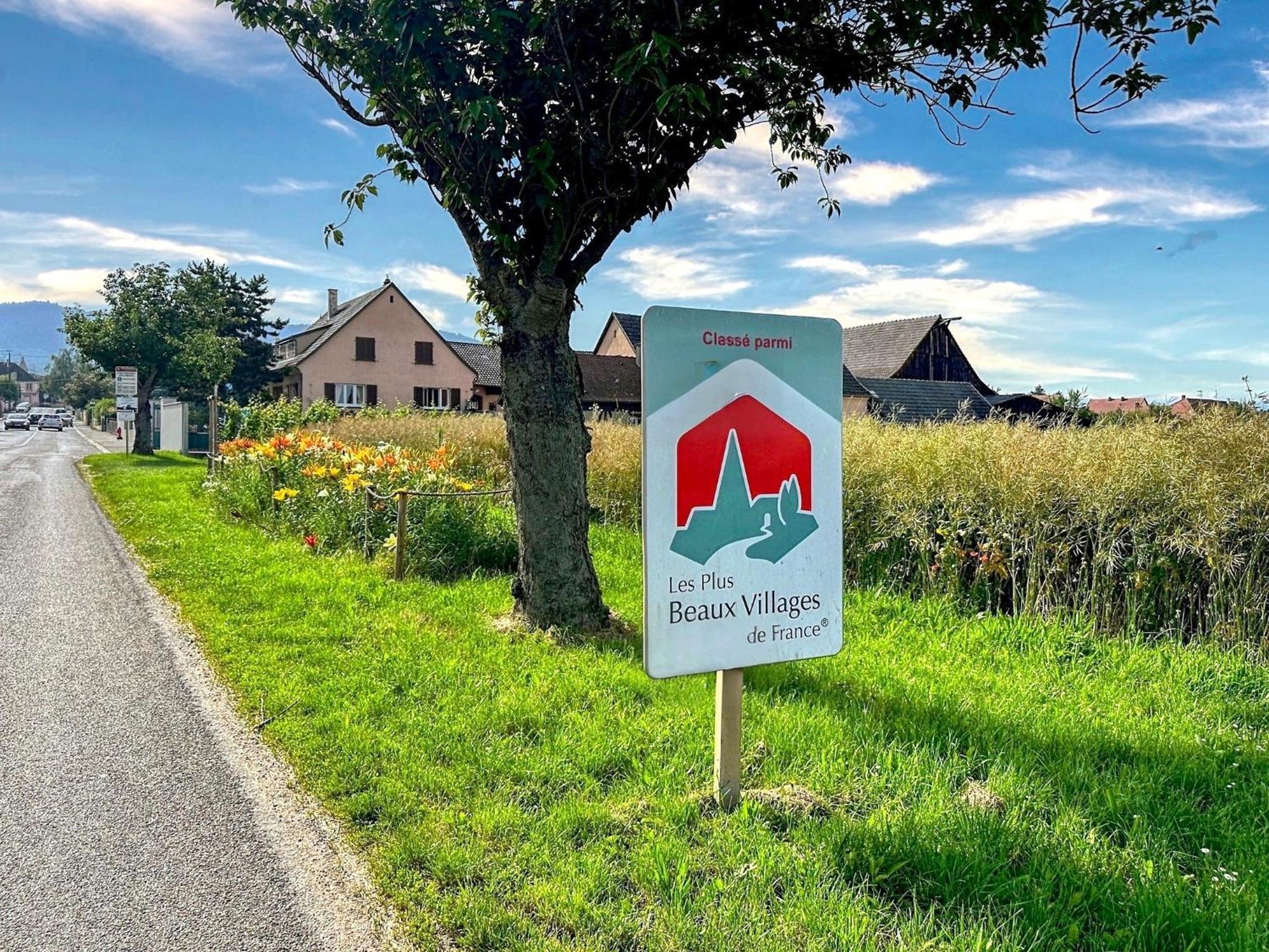Charmant Studio Avec Parking Eguisheim Eksteriør billede